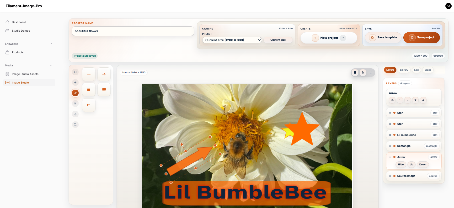 Image Studio Pro canvas editor